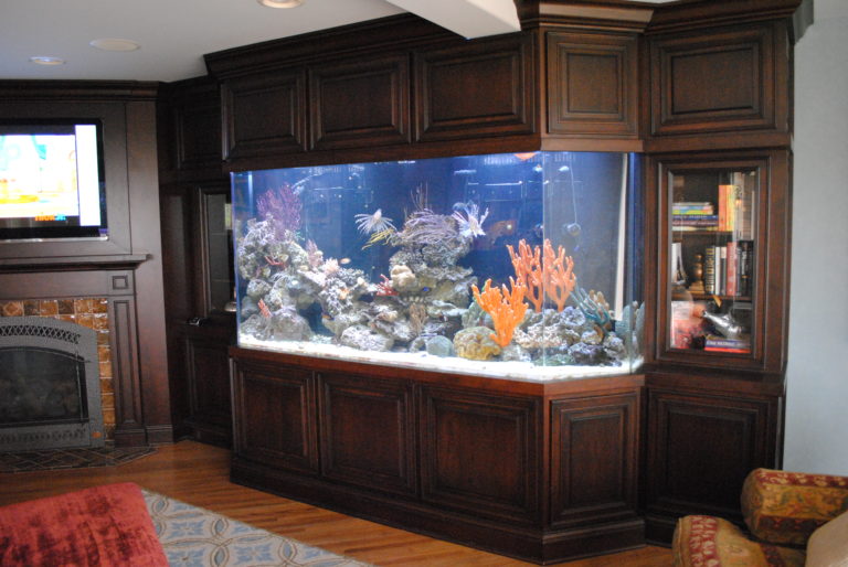 Trident Aquarium - Huntsville Aquarium Services and Design